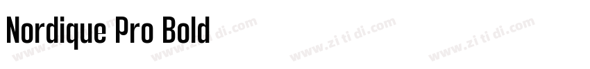 Nordique Pro Bold字体转换